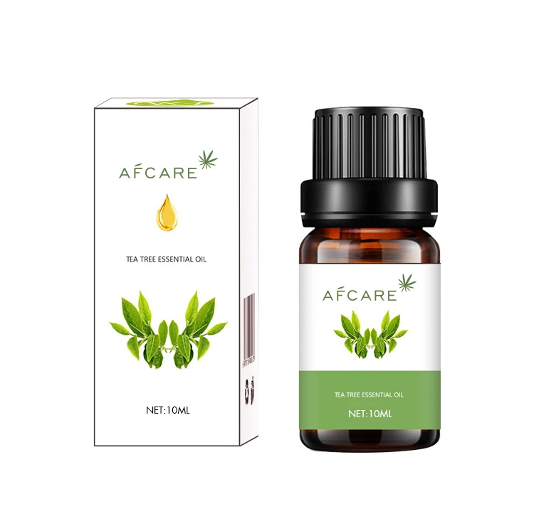 100% Pure Best Natural Essential Oil of Tea Tree Female Cosmetic Health Skin Care Aroma SPA Massage Hot Sale