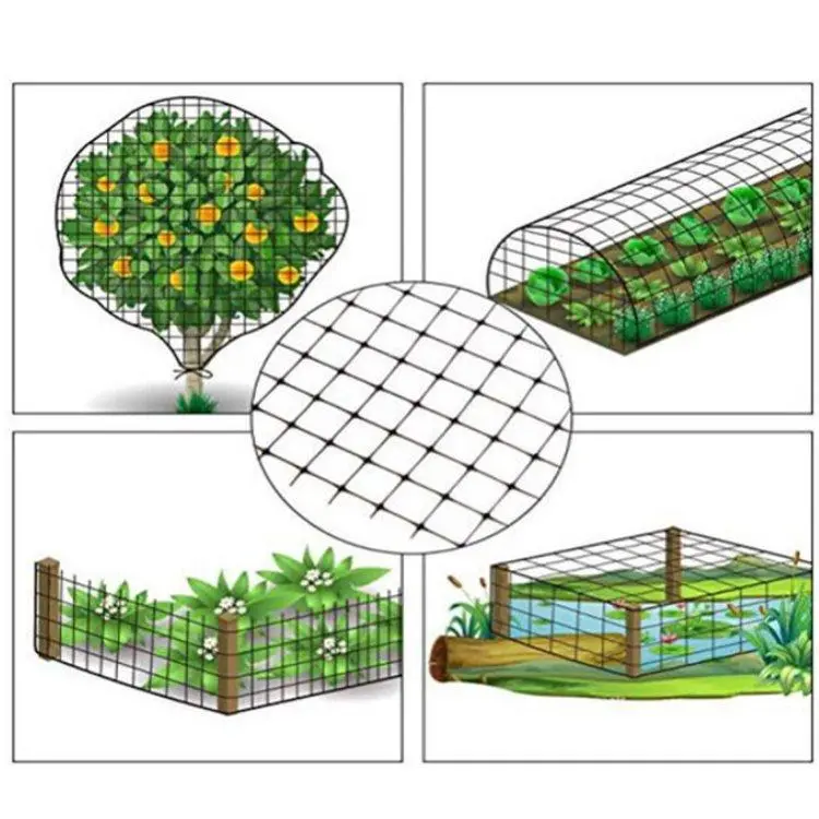 UV Treated 100% PP/PE/Plastic/Nylon Agricultural/Garden/Vineyard Anti Bird/Insect Crop Protection/Control Net