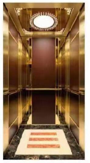 Residential Lifts Elevator Passenger Shaft Elevators