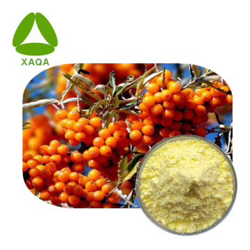 Isorhamnetin poudre CAS 480-19-3 Buckthorn de mer Flavone