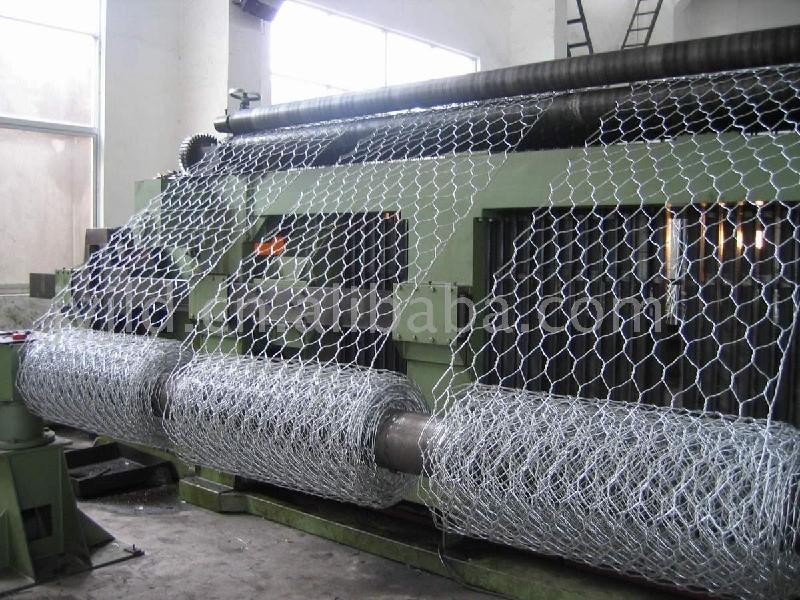 Welded Mesh Wire For Bird Cage China