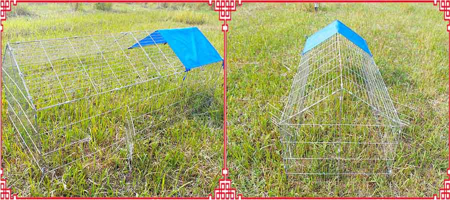 petit poulailler pliant little folding chicken coop