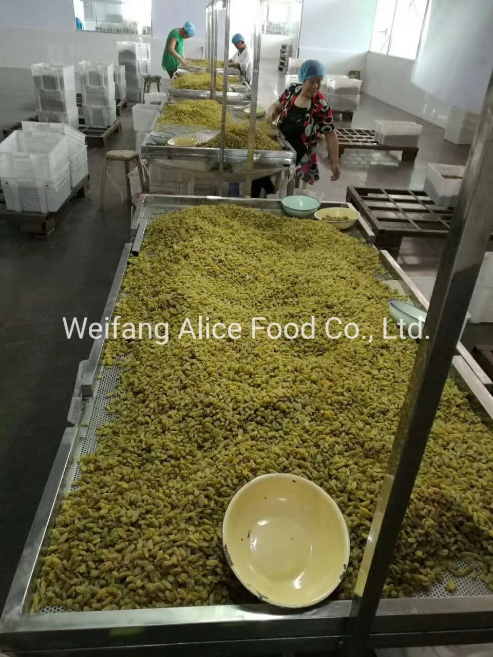 Wholesale New Crop Dried Raisins Preserved Raisins Price Green Raisins