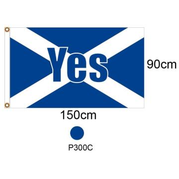 Scottish referendum Yes Flags