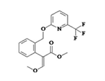 herbicides for poison ivy