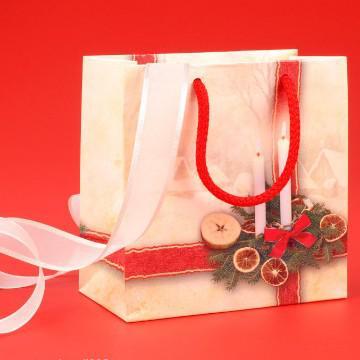 Christmas present gift shopping bag