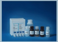 Testosterone ELISA Test Kit
