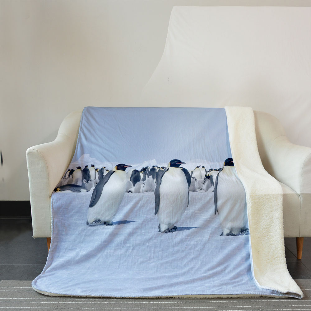 MOQ 100 OEM custom 3D digital print flannel blanket