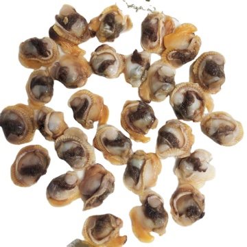 Chinese Local Frozen Blood Clam