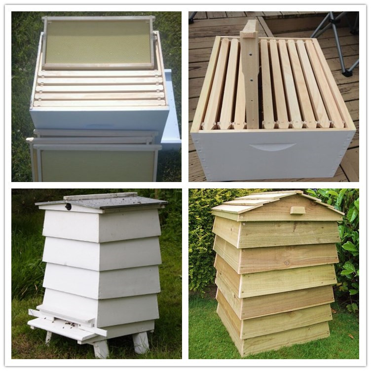 Fir wood Langstroth beehive for beekeeping or wooden beehive