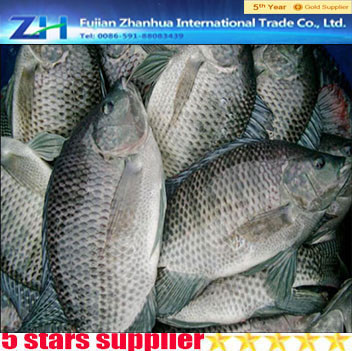 black tilapia tilapia wholesale price frozen fish tilapia