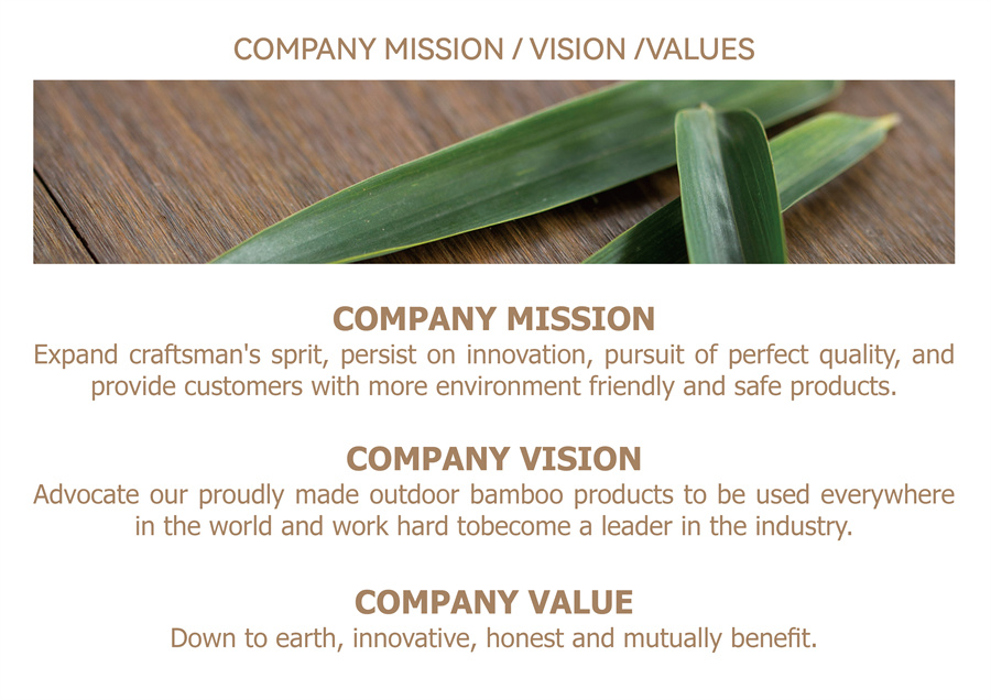 Company Vision 4