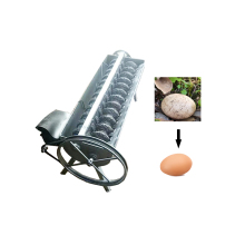 Commercial Brush Type Chicken Egg Washing Machine