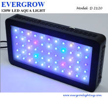 LED Reef Dimmable 120W Aquarium LED Lighting for Sps Corals
