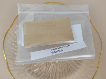 Ginkgo?Biloba?Extract