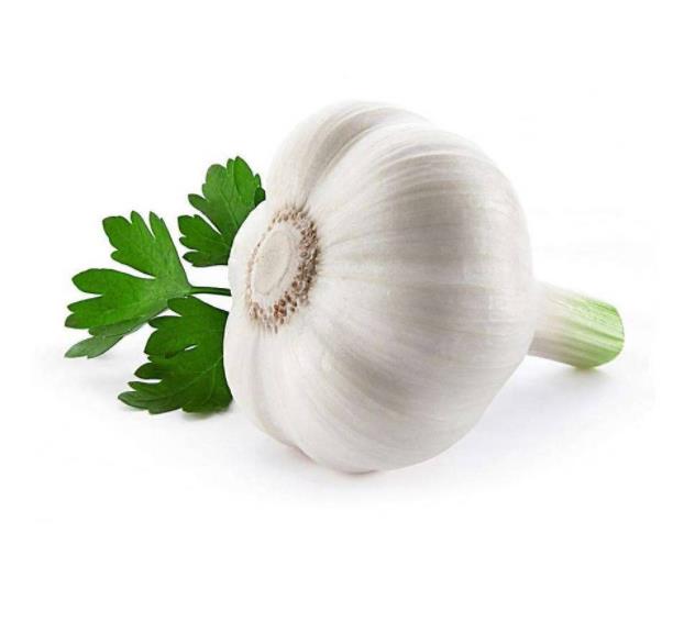 Garlic Oil for Health care Supplement