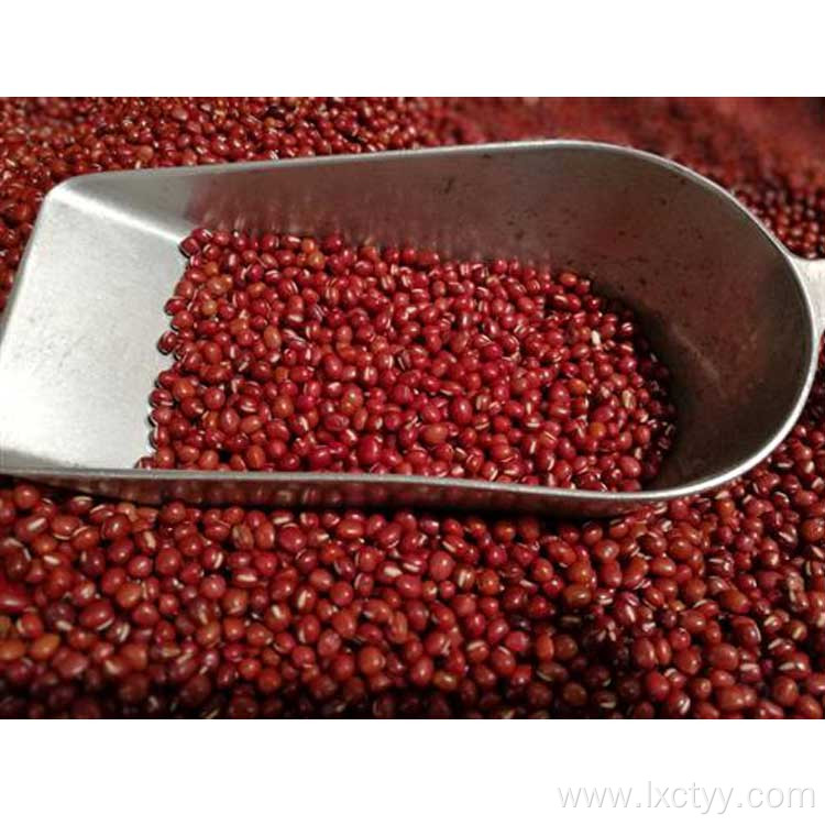 adzuki beans health tea