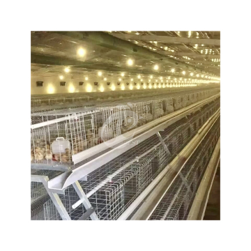 Highly Automated Chicken Layer Poultry Pullet Cages