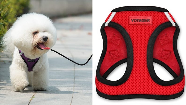 Voyager-Dog-Harness