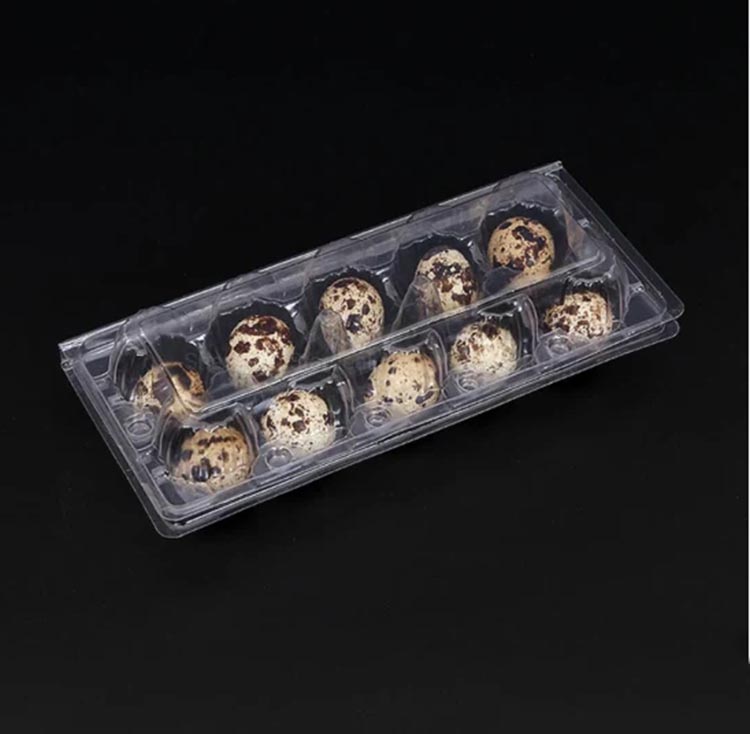 Disposable plastic quail egg tray with 10 holes