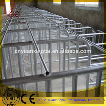 Sow cage/Gestation stalls pipes