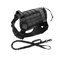 fashion light weight bags for dogs