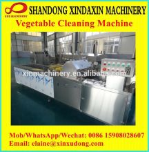 Automatic fruit and vegetable processing equipment for sale