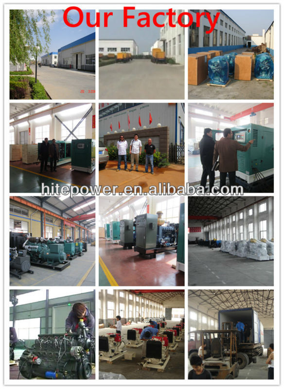 chinese manufactured biomass electric power generator with cheapest price