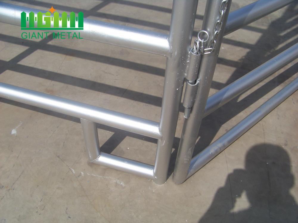 galvanized pipe horse fence panel