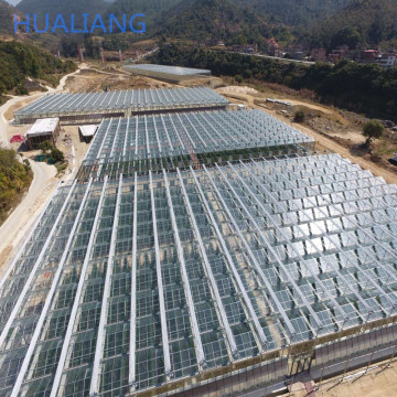 Solar Hydroponic Commercial Greenhouse Supplies in China