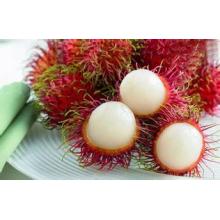 Chinese Rambutan fruitplant