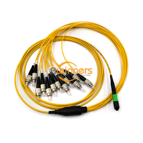 12F MPO-FC Fiber Patch Cord