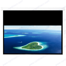 Cynthia 84 Inch High Gain Wall Mount Electric Projector Screens