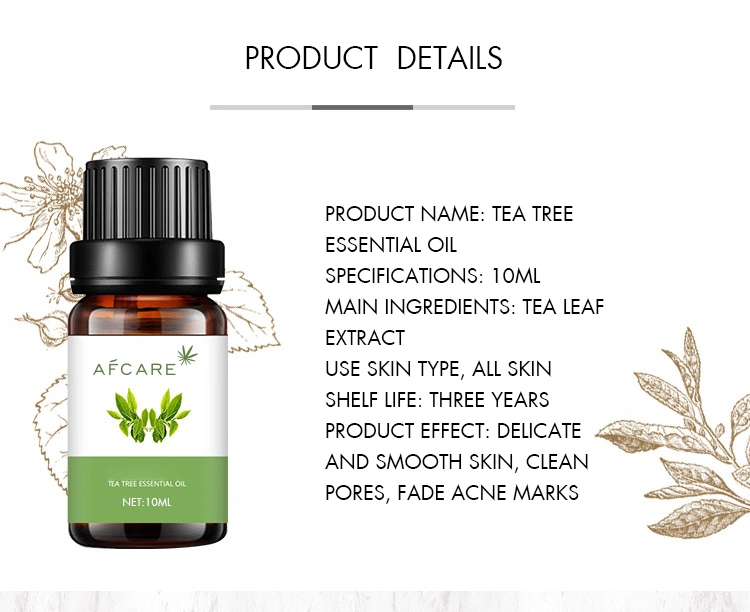 Factory OEM Wholesale Supply Natural 100 Pure Tea Tree Essential Oil