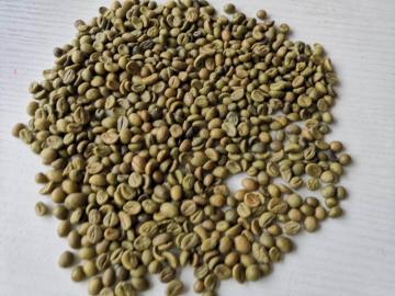 Robusta Coffee Beans Online