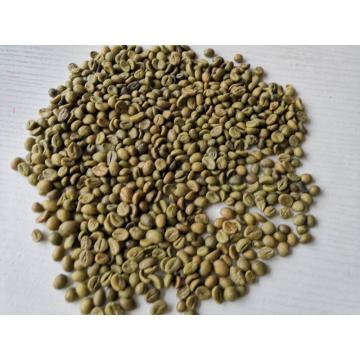 Cà phê Robusta trực tuyến