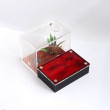 Small Acrylic Ant Box Blackout Acrylic Cage