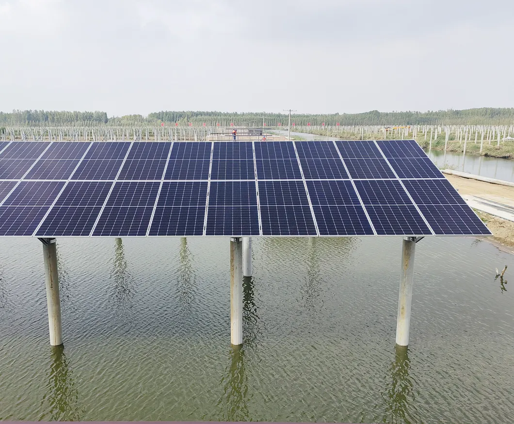 Ground Solar Energy Bracket PV Ground Mounting Structures System with Ground Screw