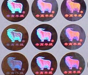 hologram stickers DCTC security hologram label