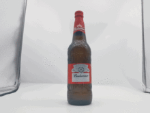 Budweiser 580ml Fine Collection