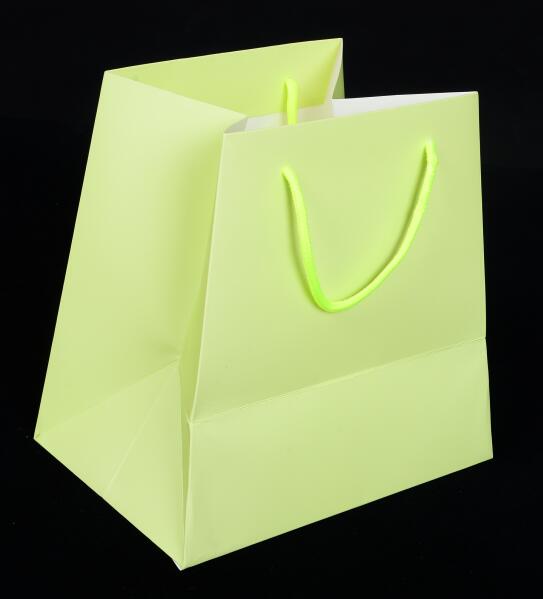 paper bag with matt lamination