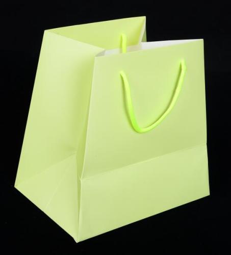 Bolsas de papel de regalo único