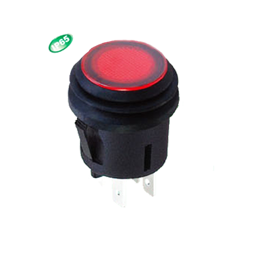 IP65 Push Button Switches