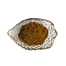 Inonotus Obliquus Extract Powder Chaga Extract Powder