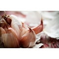 Cheap price 2021 new fresh garlic