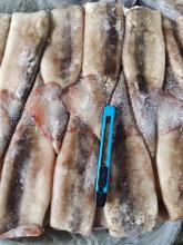 Frozen Dirty Tube Skin-on Todarodes Pacificus