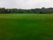 Golf Putting Green