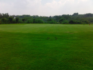 Golf Putting Green