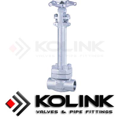 Stainless Steel Cryogenic Globe Valve