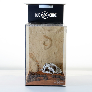 Caixa de acrílico de transmissão alta de tamanho personalizável para lagarto